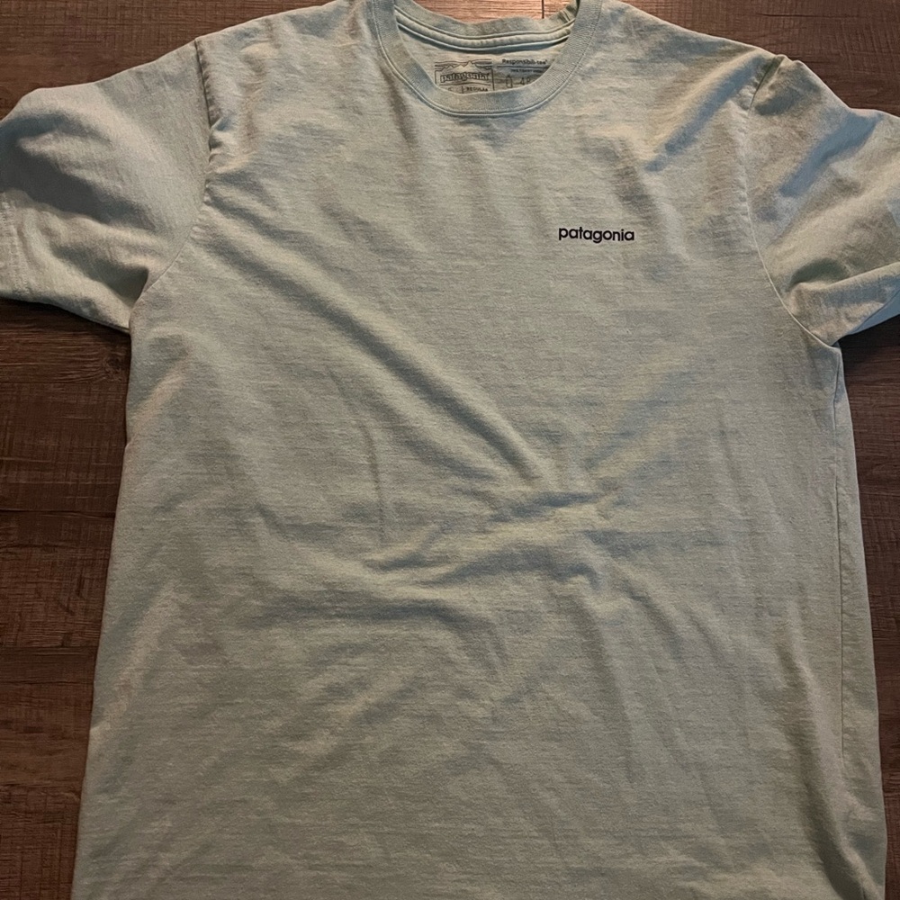 Patagonia Men's Sky Blue Short Sleeve Tee